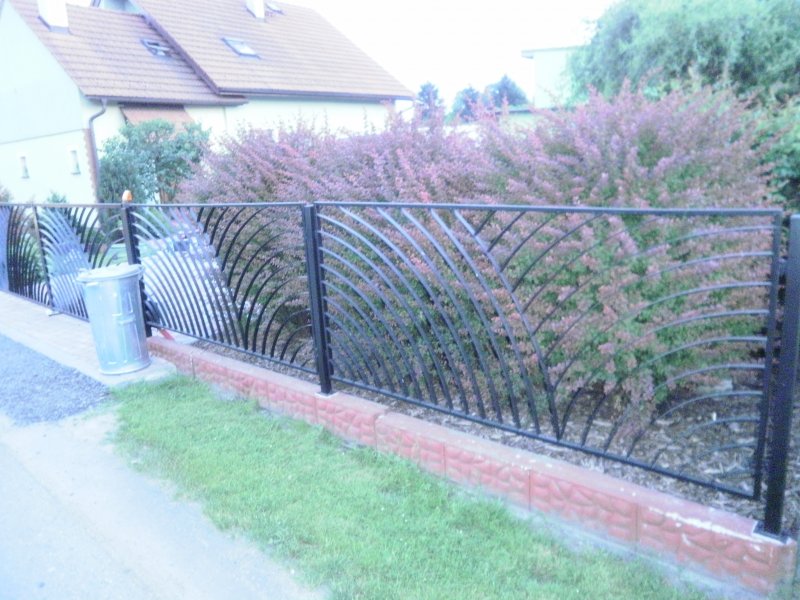 Kovaný plot žabeň